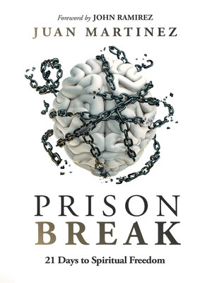 cover image of Prison Break